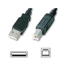 Buy USB 5M PRINTER CABLE in [storefront]