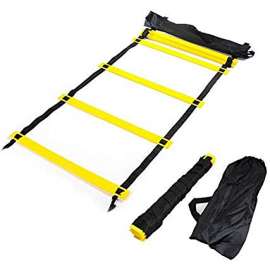 Buy Generic Agility 6M Ladder in [storefront]