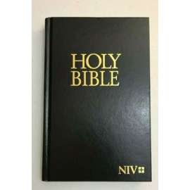 Buy New International Version Bible in [storefront]