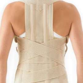 Buy Orthocare Spinal Thoracolumbar Brace, Size: Small in [storefront]