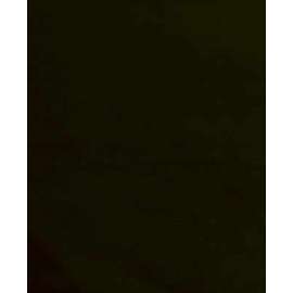 Buy Visico Solid Color Background Black 3 x 6 m Backdrop in [storefront]