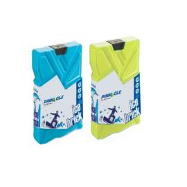 Buy 2 Piece 330 ml Reusable  Bricks Freezer Blocks in [storefront]