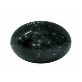 Buy Gisco 7.26 Kg Snr Shotput in [storefront]