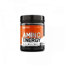 Buy ON 585g Essential Amino Energy- Orange in [storefront]