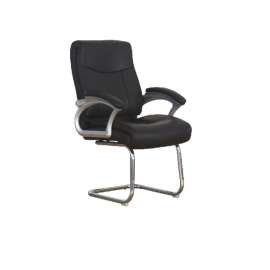 Buy 1649-V Leather Visitor Chair in [storefront]