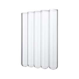 Buy Borosil Glass Rimmed Test Tube (10mmx75mm) in [storefront]