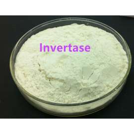 Buy Griffchem 100g Invertase Lab Reagent in [storefront]