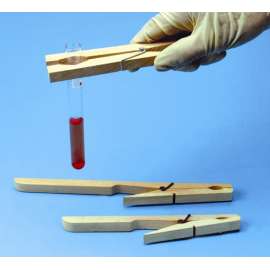 Buy Test Tube Holder-Peg Type in [storefront]