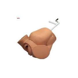 Buy Advanced Childbirth Simulator Model in [storefront]