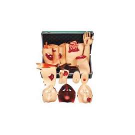 Buy Trauma Simulator Model in [storefront]