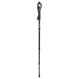 Buy Hiking Pole in [storefront]