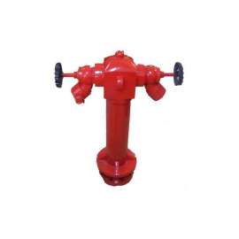 Buy DN100 Two-Way Fire Hydrant with Valve in [storefront]