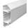 Buy Tronic  CM 1750-01 PVC 170mmx50mm Compartment Trunking in [storefront]