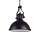 Buy Tronic PL 0913-01 Elegant Industrial Black Pendant in [storefront]