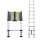 Buy Generic DLT209B 10 Step Telescopic Collapsible Ladder in [storefront]