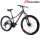 Buy Raleigh M250 20inch Mountain Bicycle, Colour : Red in [storefront]