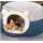 Buy Hoopet Holiday Enclosed Cat and puppy Bed House in [storefront]