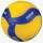 Buy Mikasa V300W Size 5 Volleyball in [storefront]