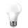 Buy Illumatt ILM0032LA-WM 12W LED GLS E27 Day light Lamp in [storefront]