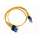 Buy SC-SC 5 Meters Duplex, OM1 Multi-Mode Fiber Patchcord in [storefront]