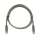Buy Dintek Cat.6 UTP 1m patch cord in [storefront]