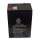 Buy Delta 6V 4.5  AH UPS Battery in [storefront]