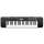 Buy Casio CTK-245H2 Standard Keyboard in [storefront]