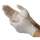 Buy Latex Powder Free Gloves in [storefront]