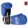 Buy Top Ten 8 Ounce Boxing Gloves in [storefront]