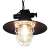 Buy Tronic PL 7147-BK Retro Industrial Pendant Light in [storefront]