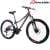 Buy Raleigh M250 20inch Mountain Bicycle, Colour : Red in [storefront]