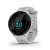 Buy Garmin Forerunner 55 GPS Running Smart Watch in [storefront]