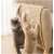 Buy Catco  60*90cm Cat Scratcher Mat in [storefront]