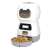 Buy Elf 3.5L Automatic Dog and Cat Feeder in [storefront]