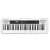 Buy Casio CT-S200WEC2 Casio tune Keyboard in [storefront]