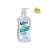 Buy Velvex 500ml 6Pack Pump Gel Hand Sanitizer, Product Capacity: 500ml, Sterilizer Scents: Fragrance Free in [storefront]