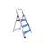 Buy Raja aluminium Step Ladder in [storefront]