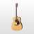 Buy Yamaha FX310 Semi Acoustic Guitar in [storefront]