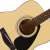 Buy Yamaha F310 Acoustic Guitar in [storefront]