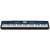 Buy Casio PX-560MBEC2 Privia Digital Piano in [storefront]