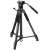 Buy Digipod TR tr-688 V 170" Lightweight Video Tripod in [storefront]