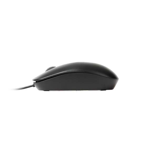 Buy Rapoo N200 Wired Ambidextrous Mouse in [storefront]