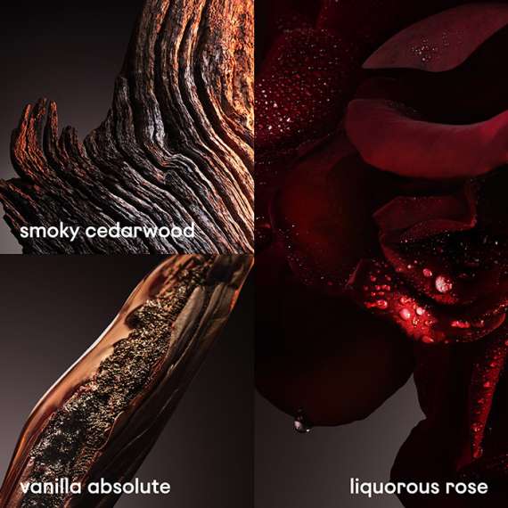 Buy Paco Rabanne 1 Million Elixir Parfum Intense 100ml Men Perfume in [storefront]