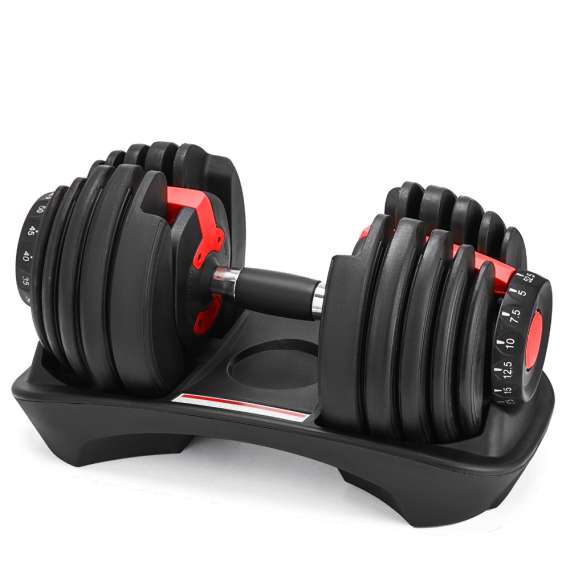 Buy Generic Adjustable Sectorized Dumbbell Set (2.5kg – 24kg) in [storefront]