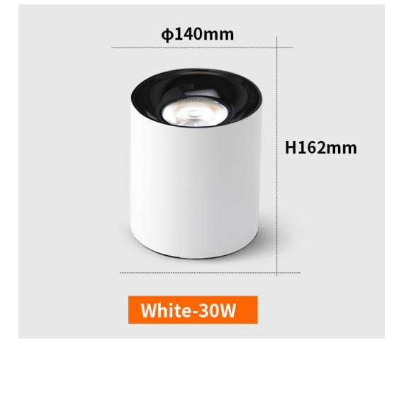 Buy Illumat ILM0845LF LED 30W D90XH160MM 3000K White Surface Downlight in [storefront]