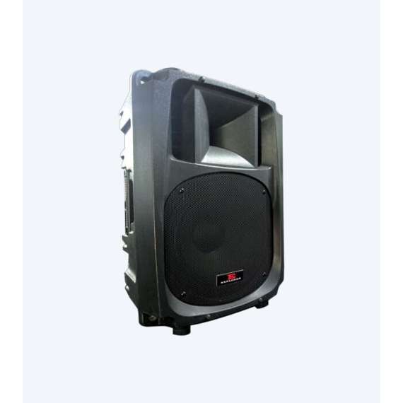 Buy Explorer EXP 15P Passive Speaker in [storefront]