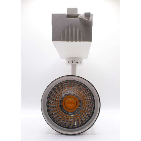 Buy Tronic TL 30WH-GD-DL 30W Track Light in [storefront]