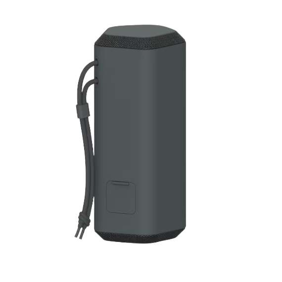 Buy Sony SRS-XE200 Portable Bluetooth Speaker in [storefront]