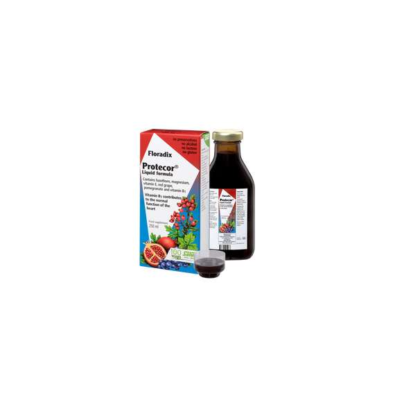 Buy Floradix 250ml Protecor Liquid Formula in [storefront]