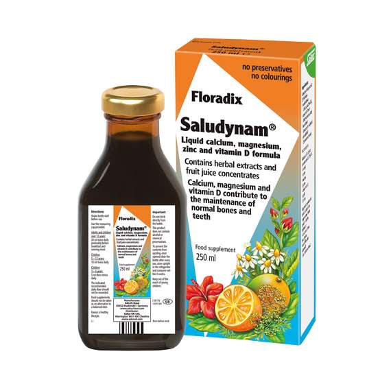 Buy Floradix 250ml Saludynam Liquid Calcium Supplement in [storefront]
